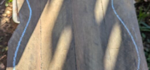 Blackbutt guitar build